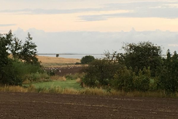 Stenskov5_0007