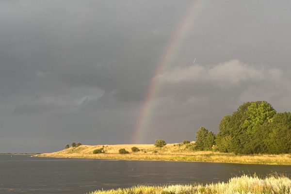 Stenskov5_3455