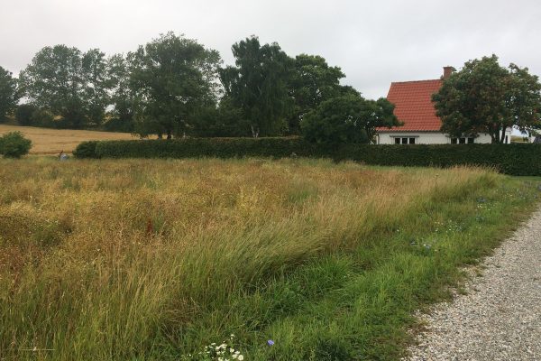 Stenskov5_4214